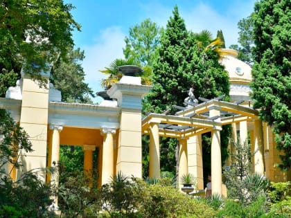 В сочинском “Дендрарии” снимают кино