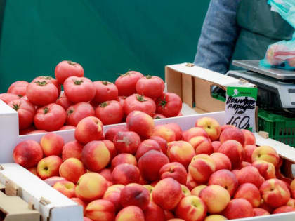 Пять ярмарок выходного дня работают в первый день лета в Краснодаре