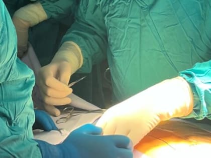 Уникальный стент для лечения синдрома щелкунчика разрабатывают кубанские ученые