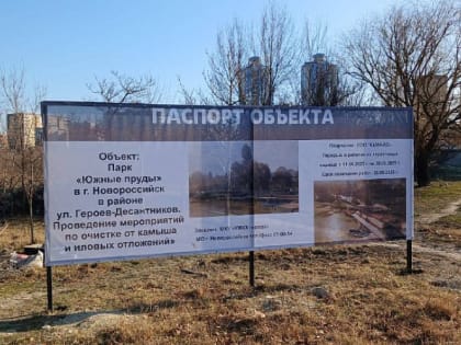 В Новороссийске начались работы по благоустройству территории «Южных прудов»