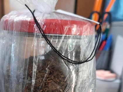 Полицейские Новороссийска задержали  подозреваемого  в незаконном обороте наркотиков