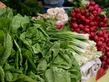 В субботу в Краснодаре заработают первые ярмарки выходного дня этого года