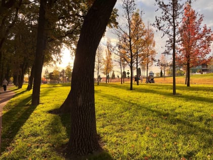 Потепление в Краснодаре: что ждать 6 декабря