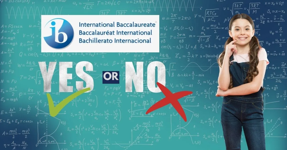 What Is IB Board? All You Need To Know!