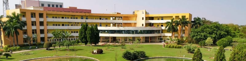 C. V. Raman Global University Banner