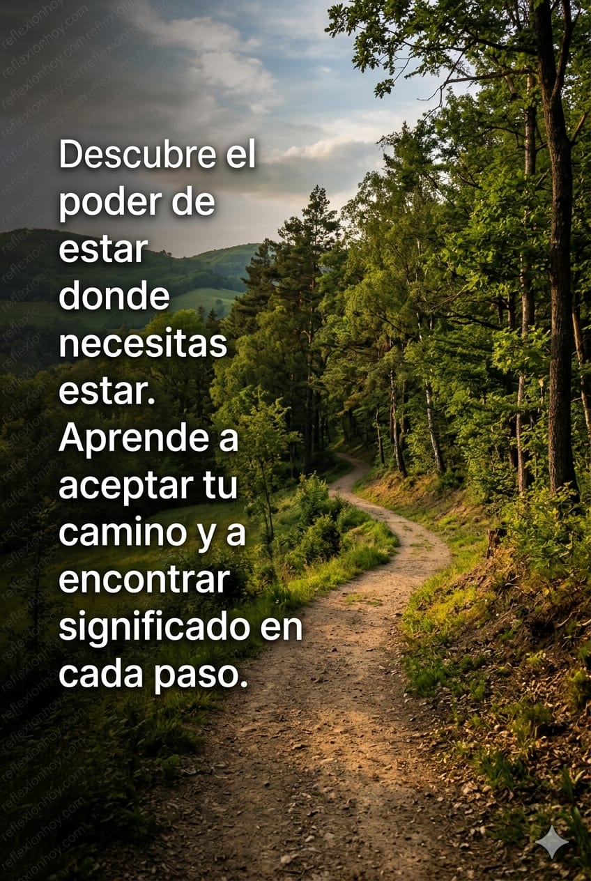 Imagen de un camino en la naturaleza, simbolizando el viaje personal y el autodescubrimiento.
