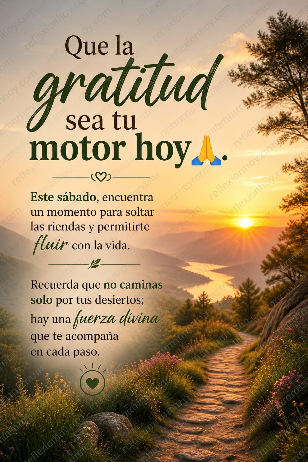Imagen de la reflexión: Confía en el proceso de la vida 🌟