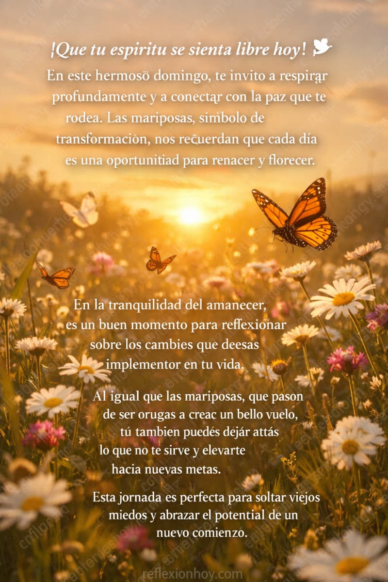 Imagen: Mariposas Volando: Reflexión de Domingo 🌸
