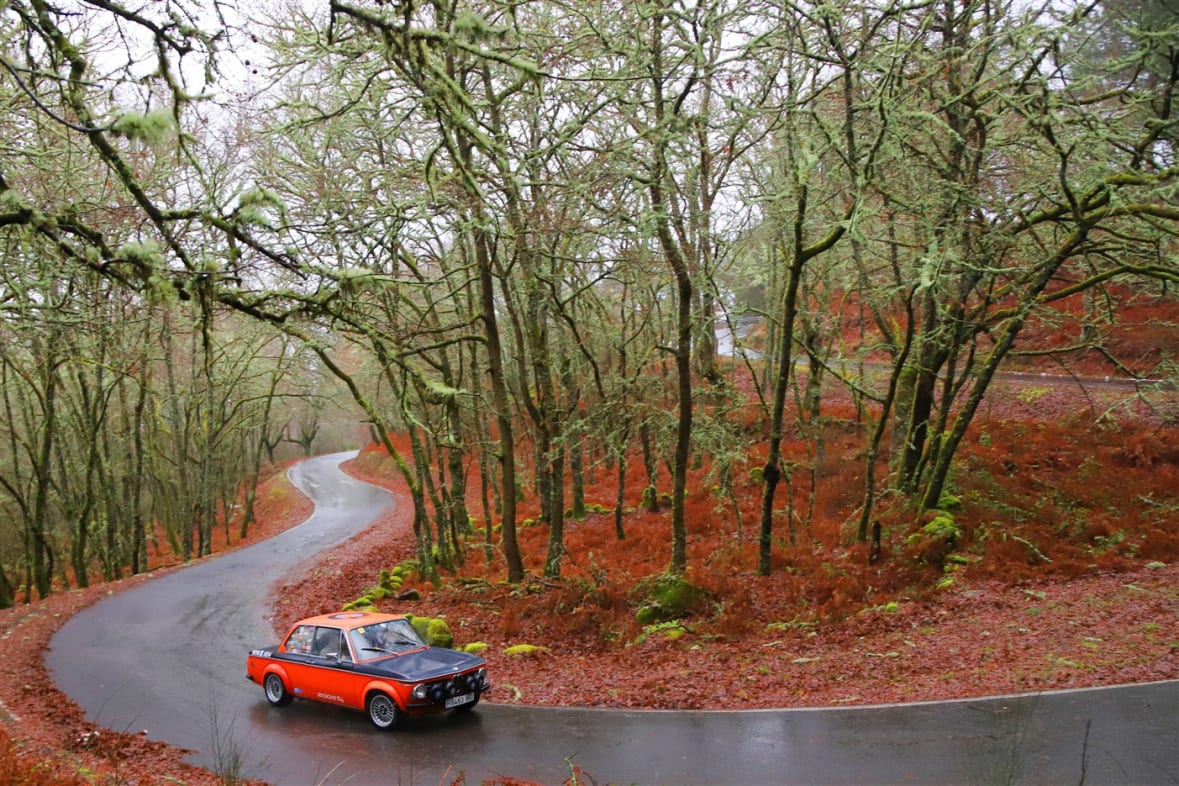 XXVI Rally de Reyes 2026 - 2026 - RallyPlanner.net | El calendario de Rallies de regularidad más completo