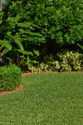 st. augustine grass,landscaping equipment