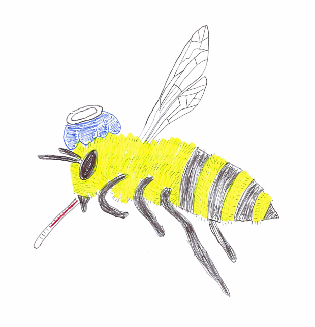 honey bees,colony collapse disorder,agribusiness,farming,farmers” width=