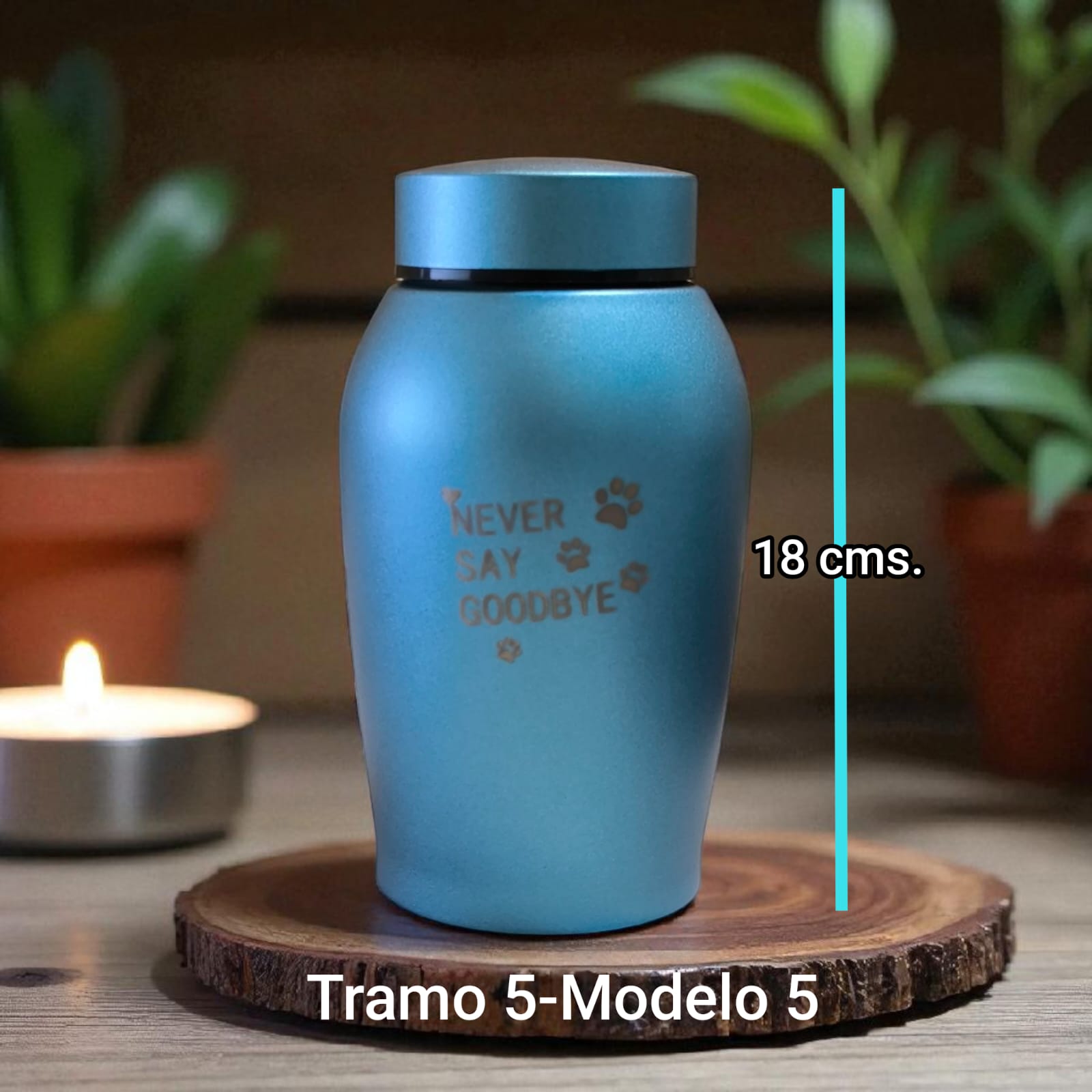 Ánfora metálica - Tramo 5 Modelo 5