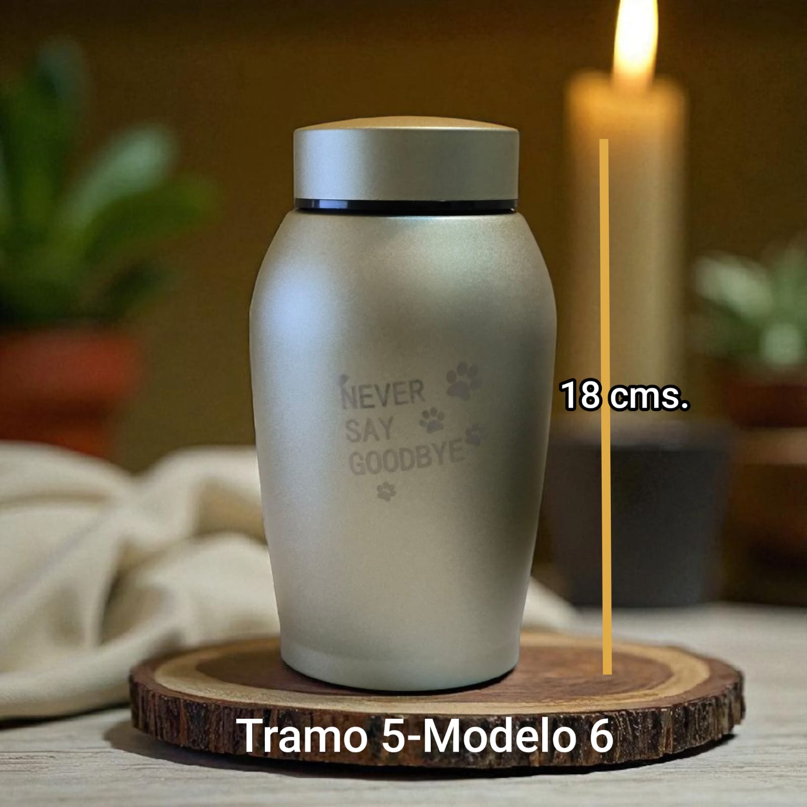 Ánfora metálica - Tramo 5 Modelo 6