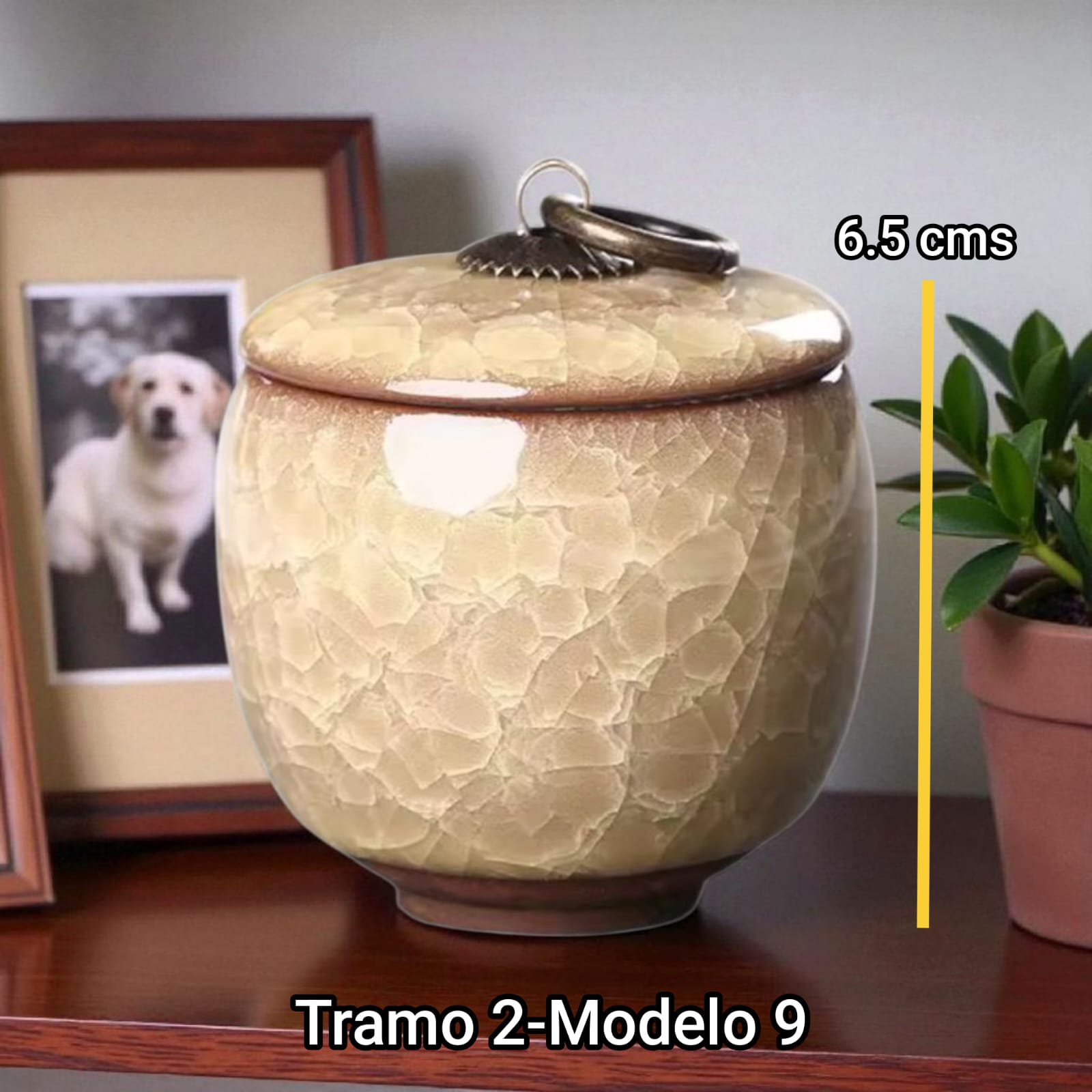 Anfora cerámica - Tramo 2 Modelo 9