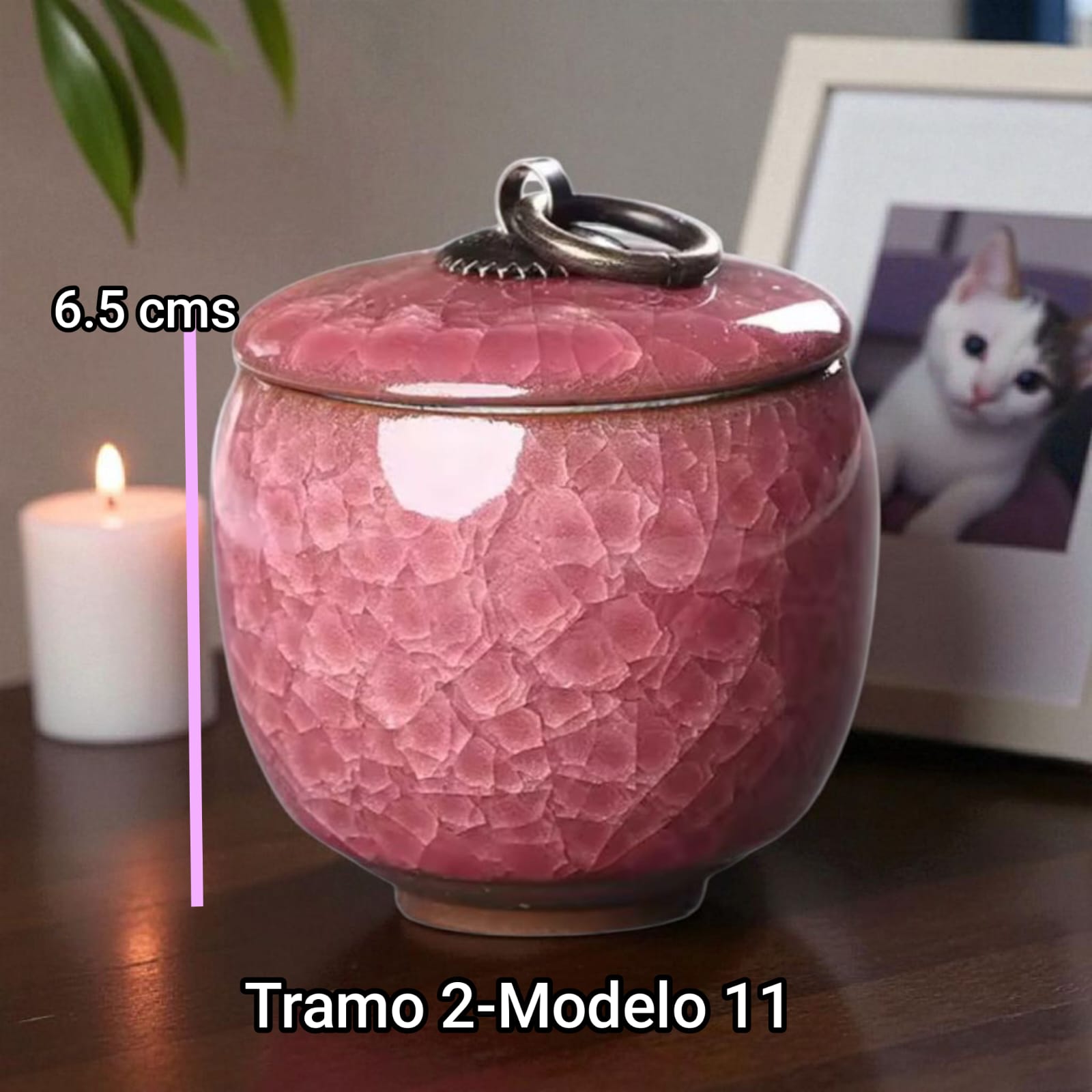 Anfora cerámica - Tramo 2 Modelo 11