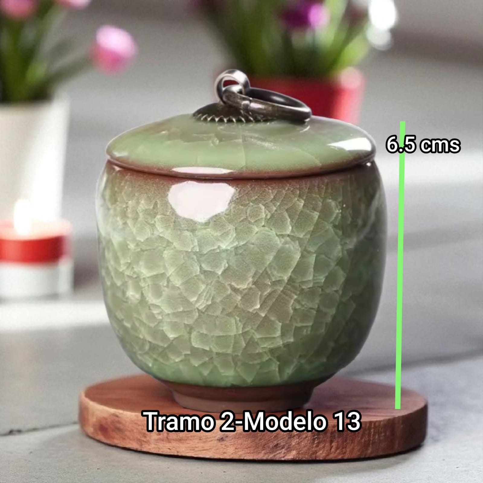 Anfora cerámica - Tramo 2 Modelo 13