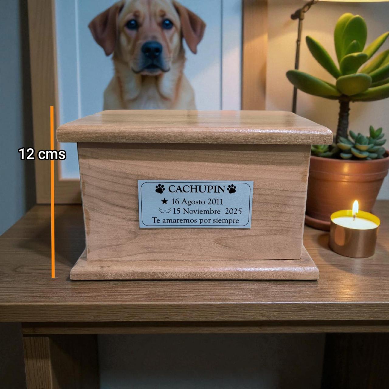 Ánfora Raíces del Recuerdo