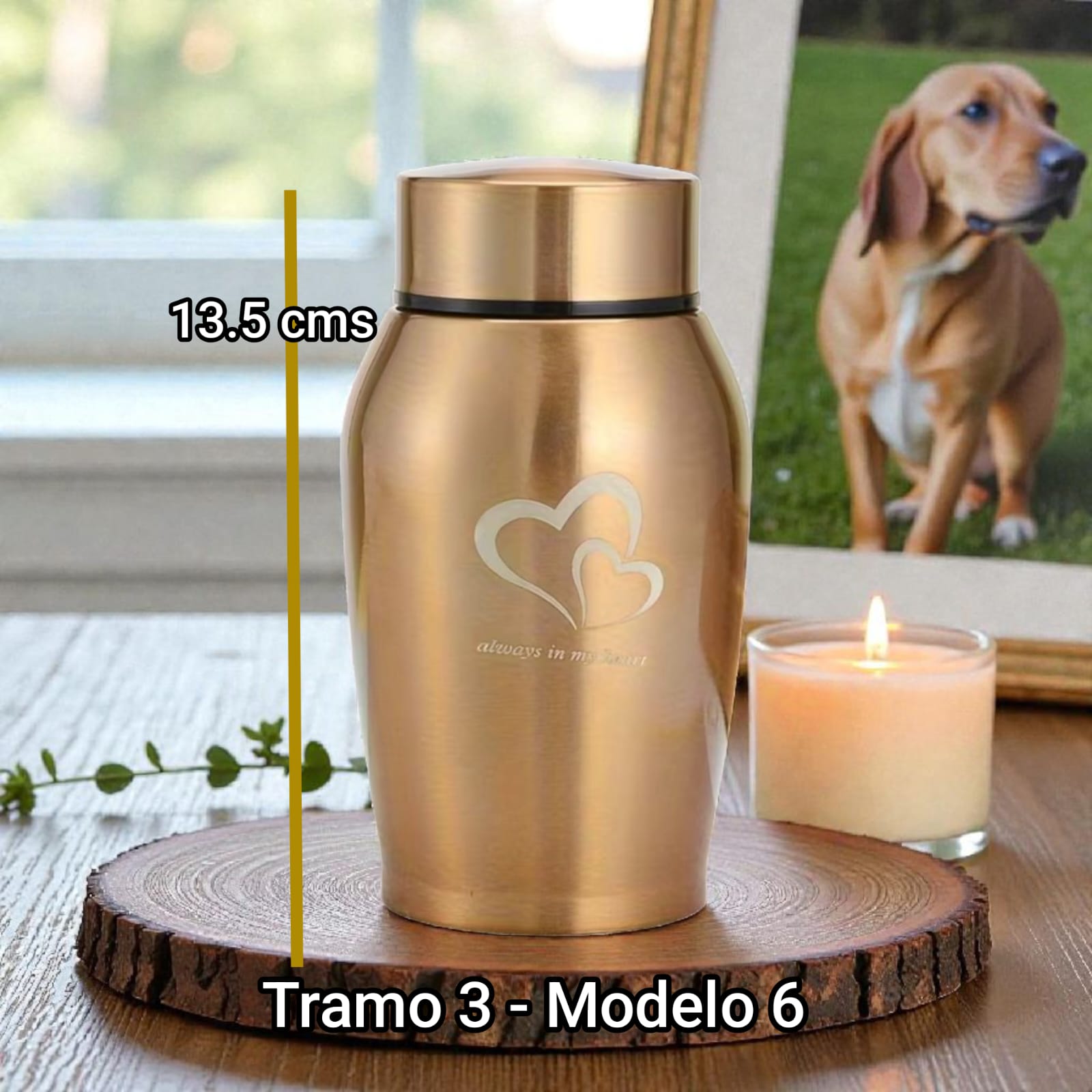Ánfora metálica - Tramo 3 Modelo 6
