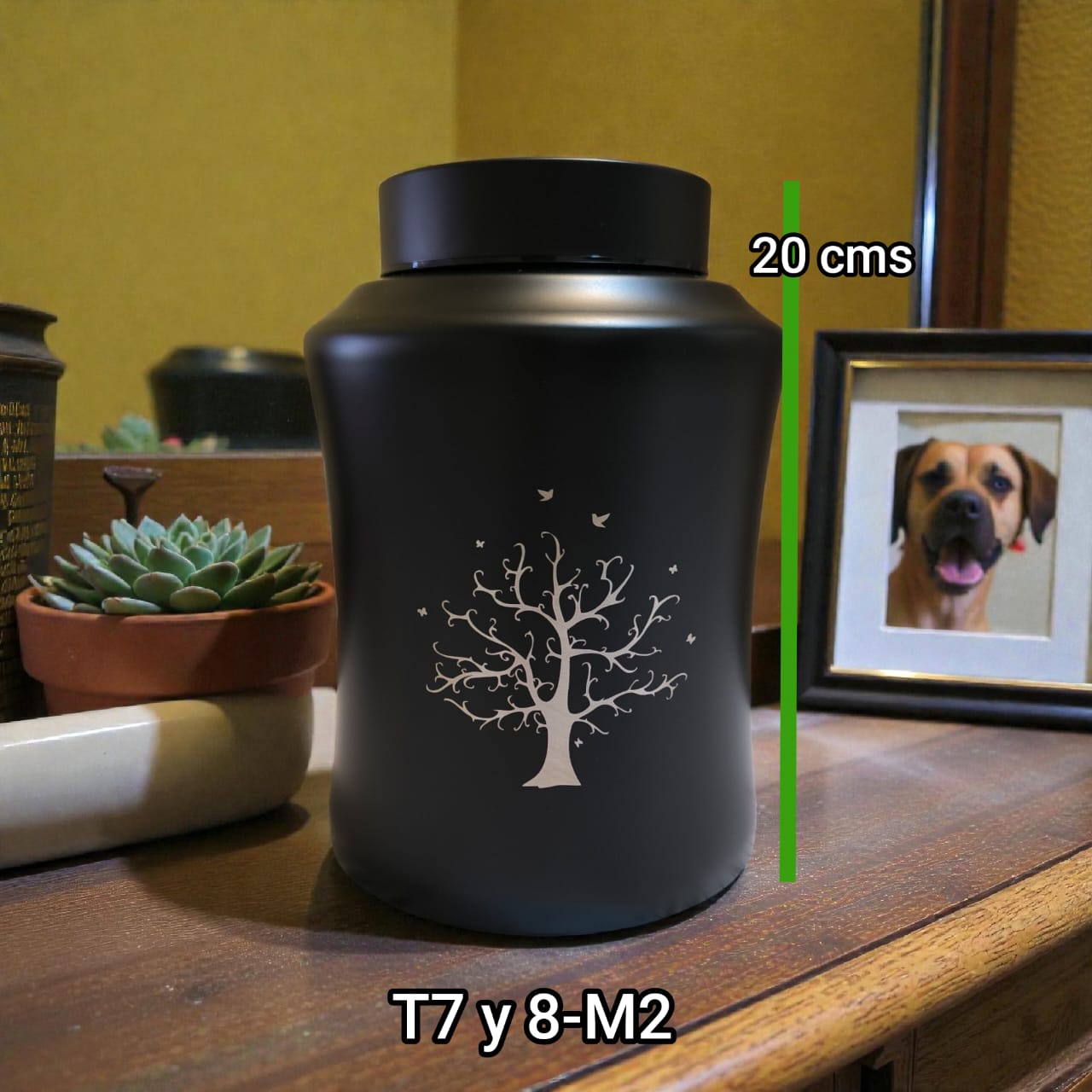 Tramo 7 y 8 - Modelo 2