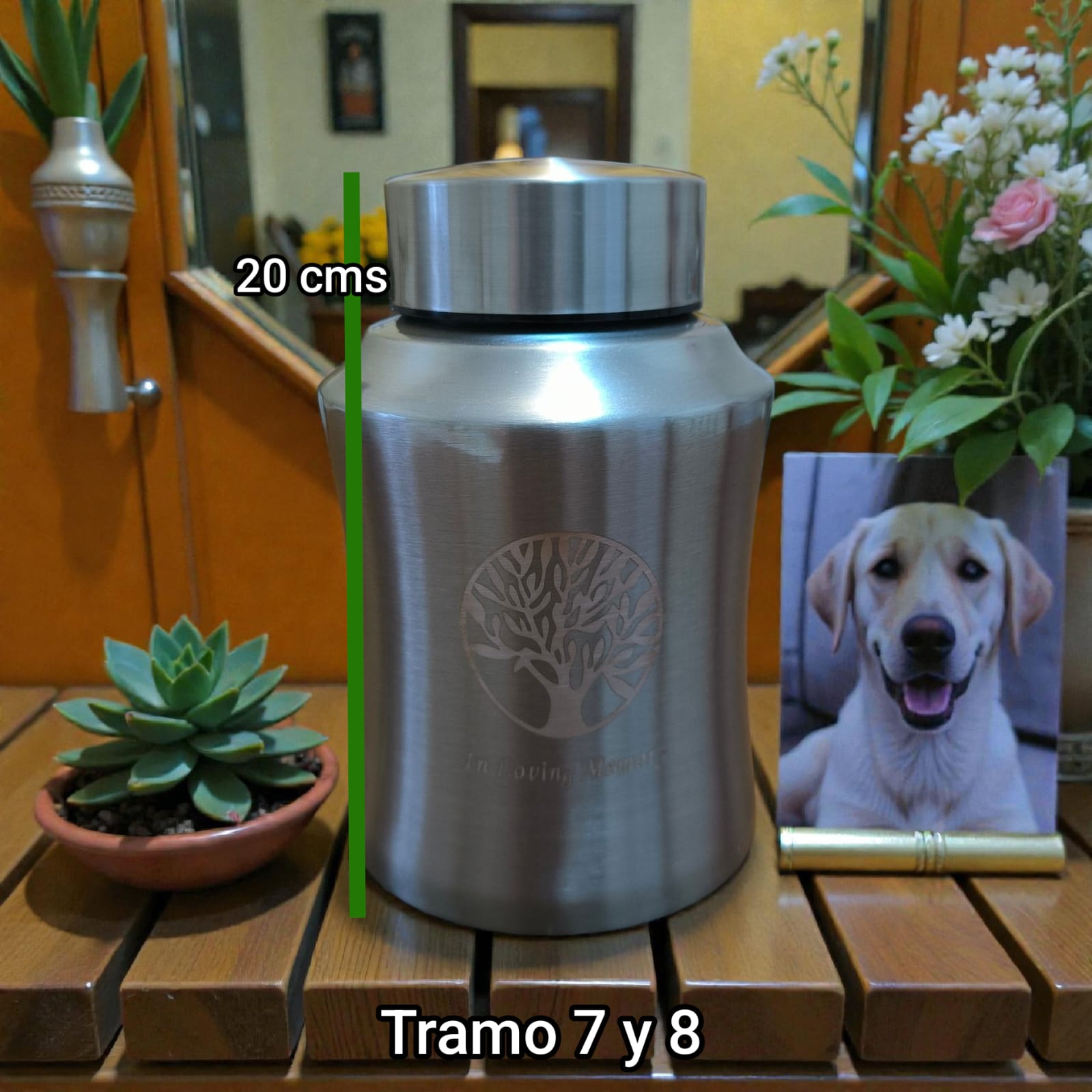 Tramo 7 y 8 - Modelo 3