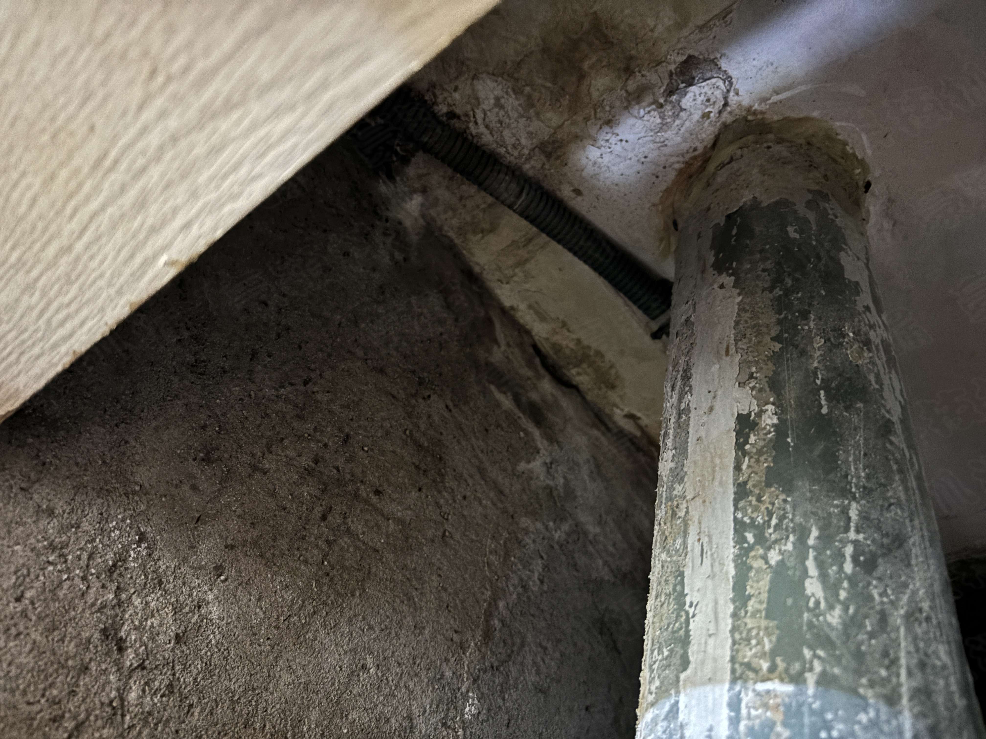 地下室防水終極指南：告別漏水惡夢，打造乾爽舒適空間