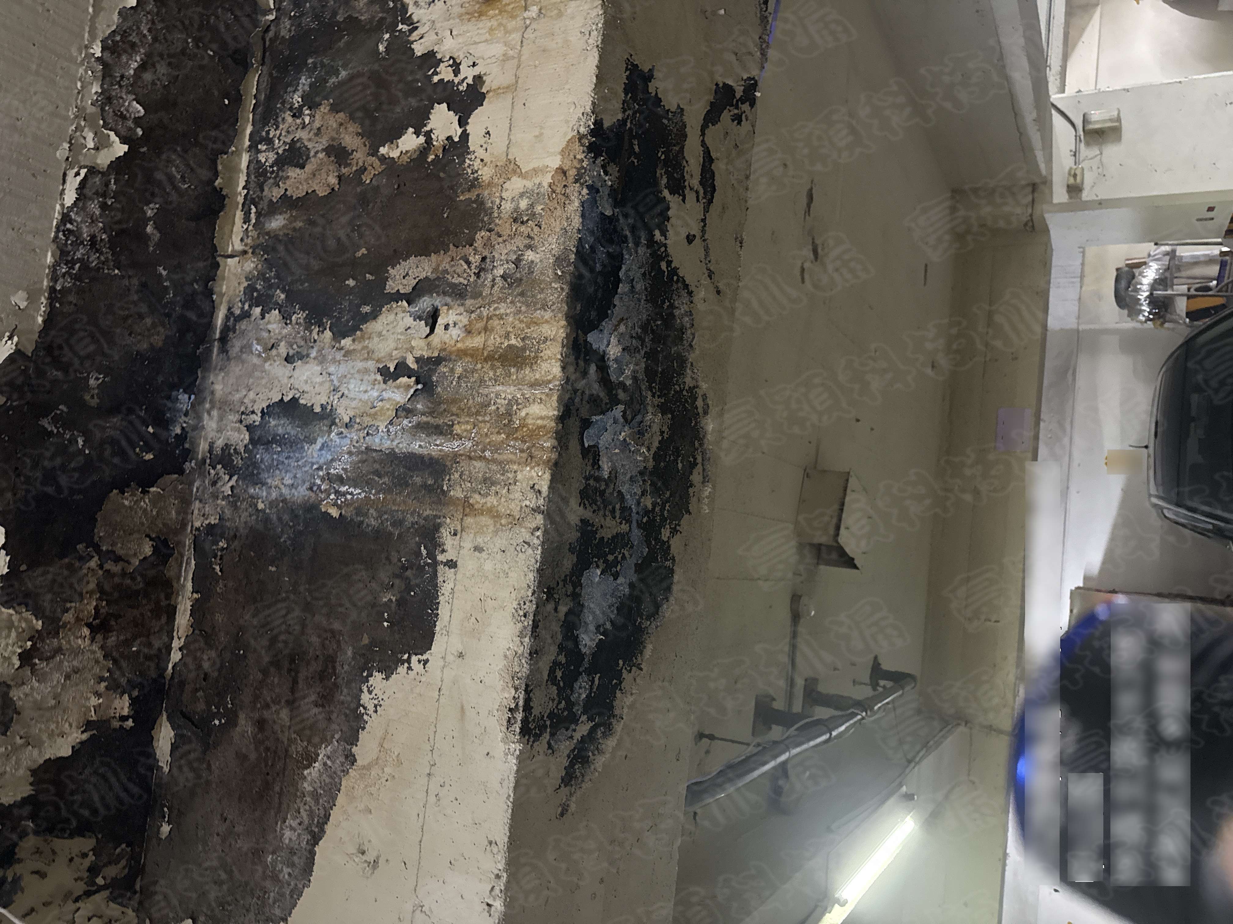 First Image Alt Text