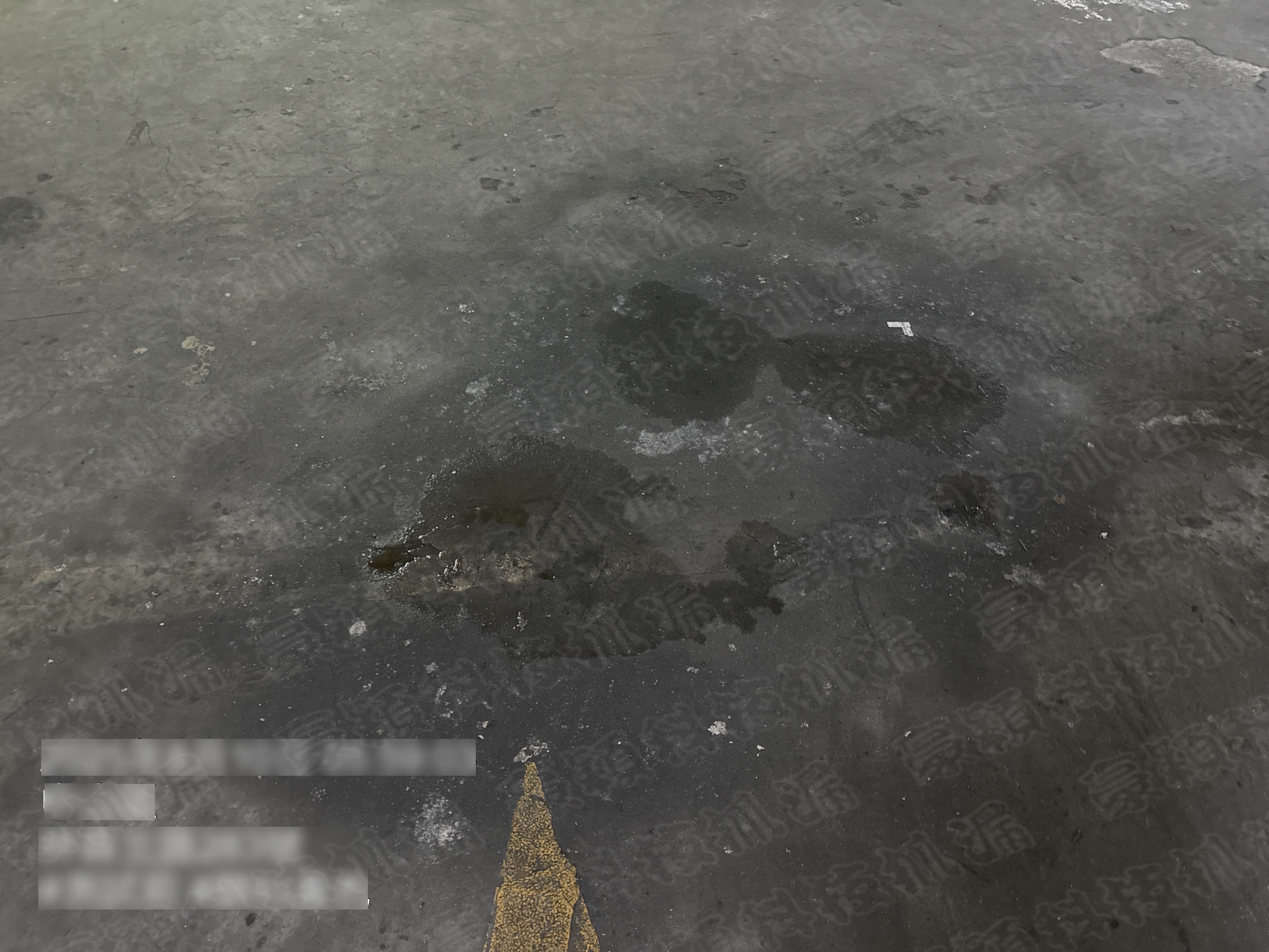 Second Image Alt Text