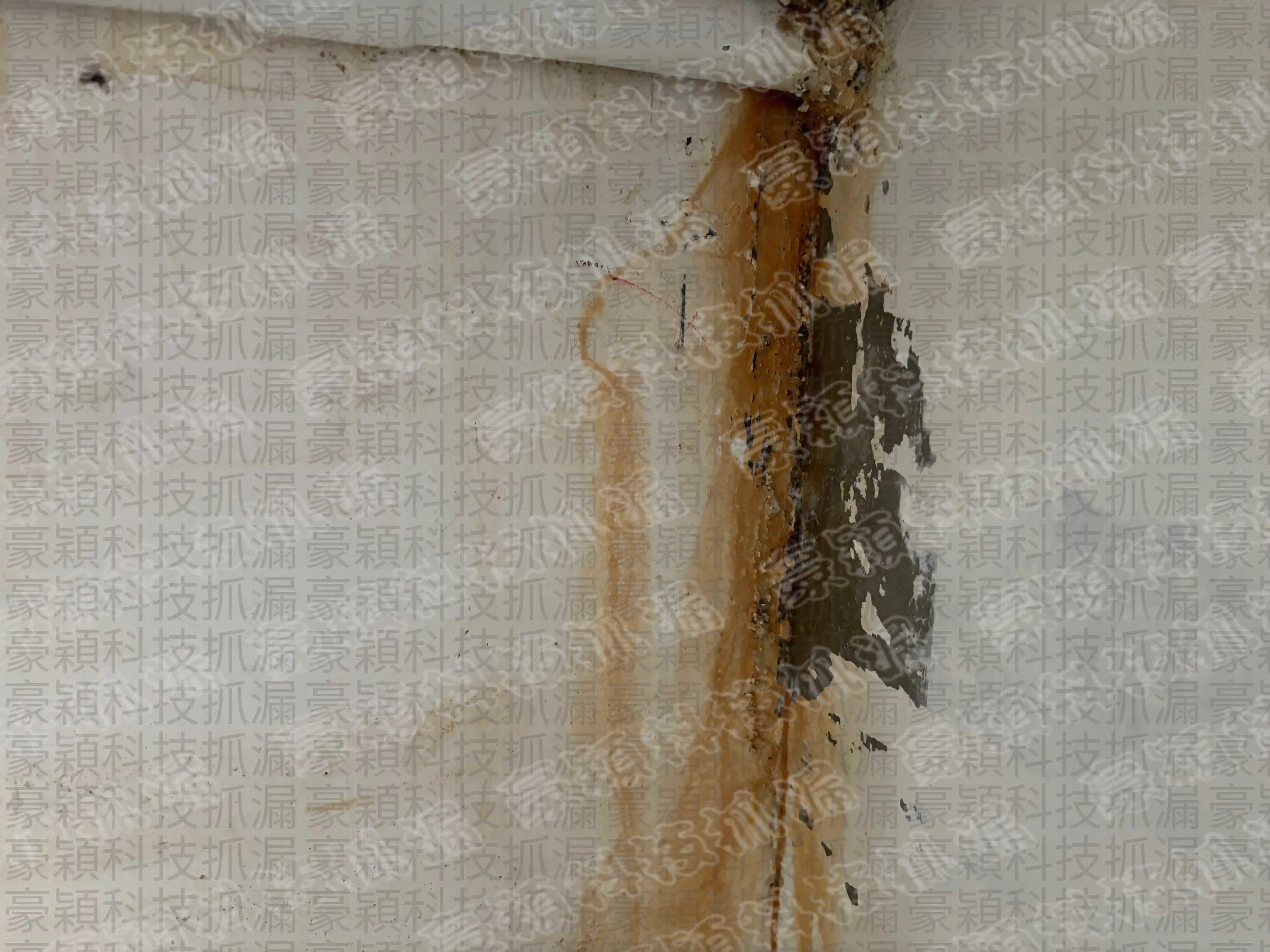 牆壁滲水原因判斷