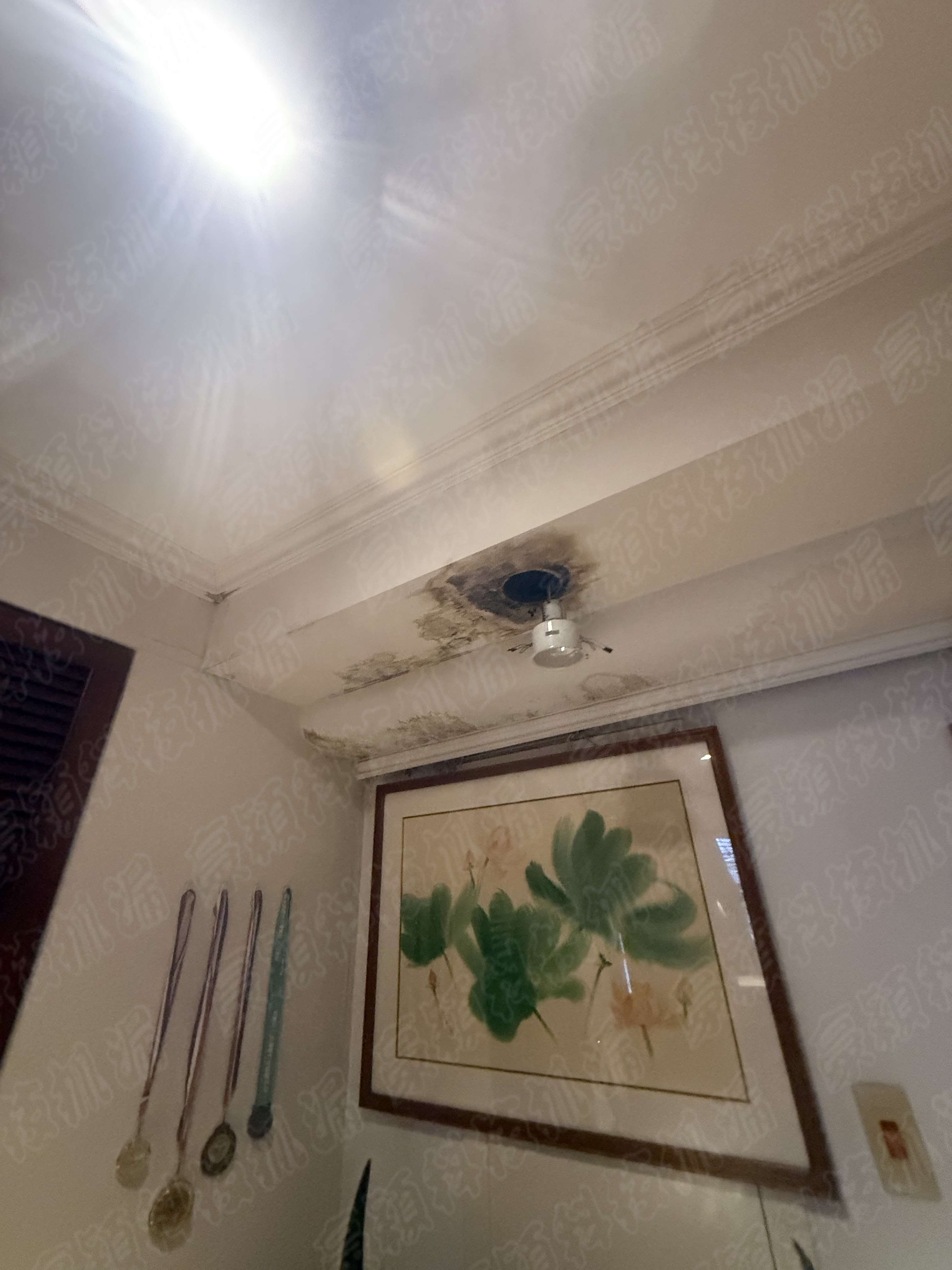 信義區室內天花板嚴重的漏水情況