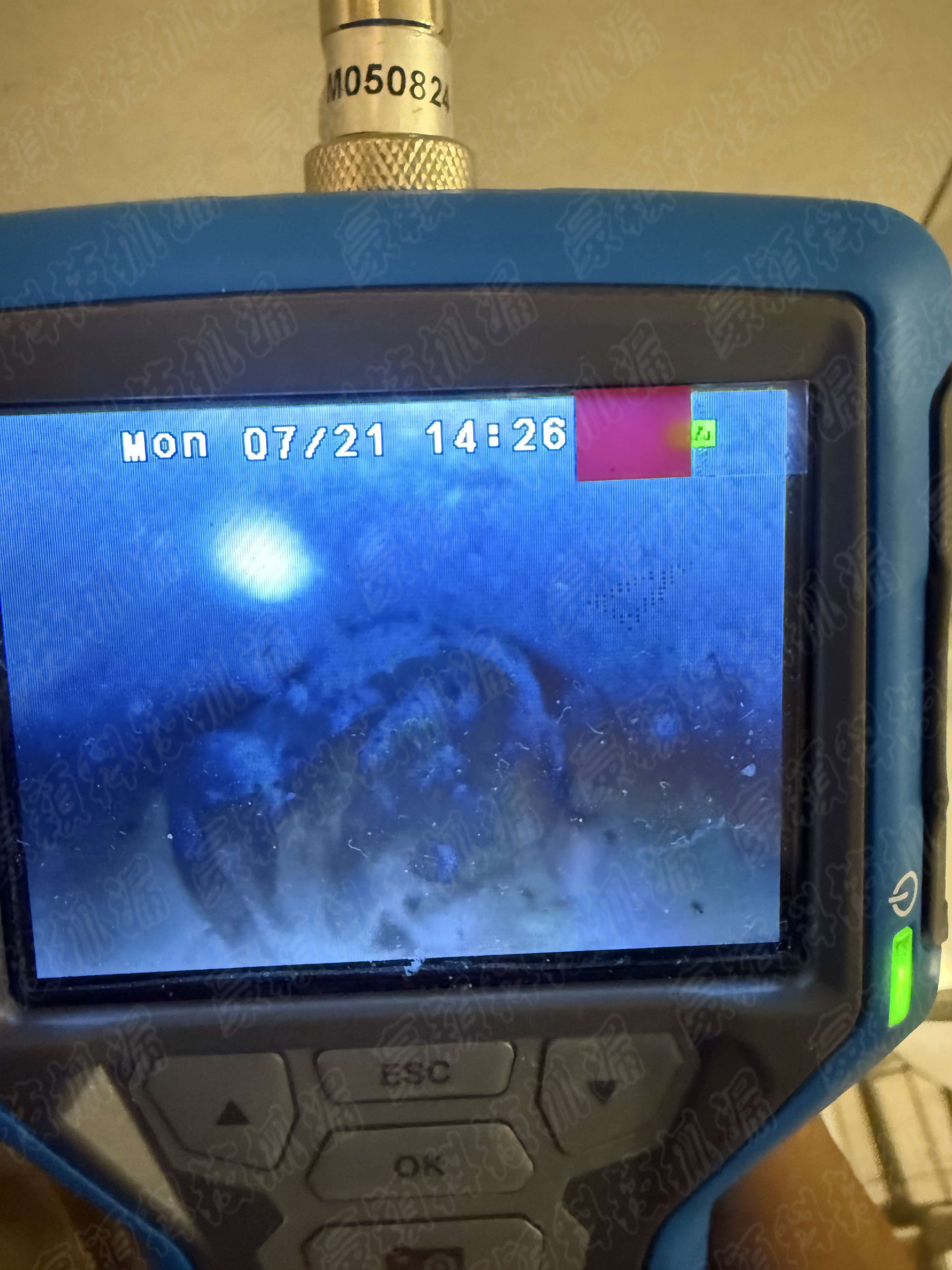 新北市板橋區管道內視鏡進行漏水檢測