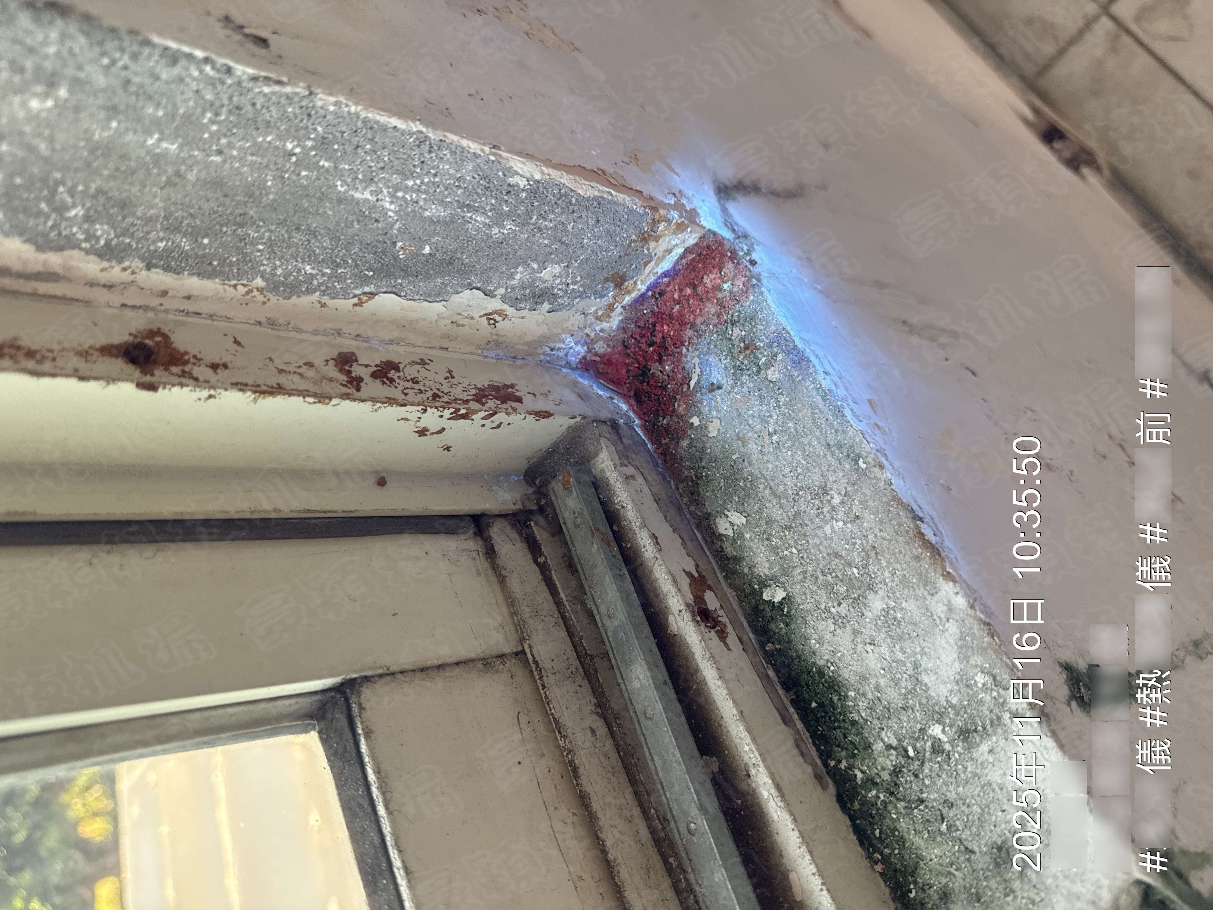 圖片展示一處牆角壁癌與滲漏的特寫。牆面可見明顯的灰白色鹽析與剝落，局部出現紅色與藍色斑點，指示高濕度與可能的滲漏點。藍光照射下，顯現出牆體內部濕氣滲透的跡象。該圖片在漏水檢測中具有重要意義，展示了專業檢測過程中的關鍵步驟與技術細節。