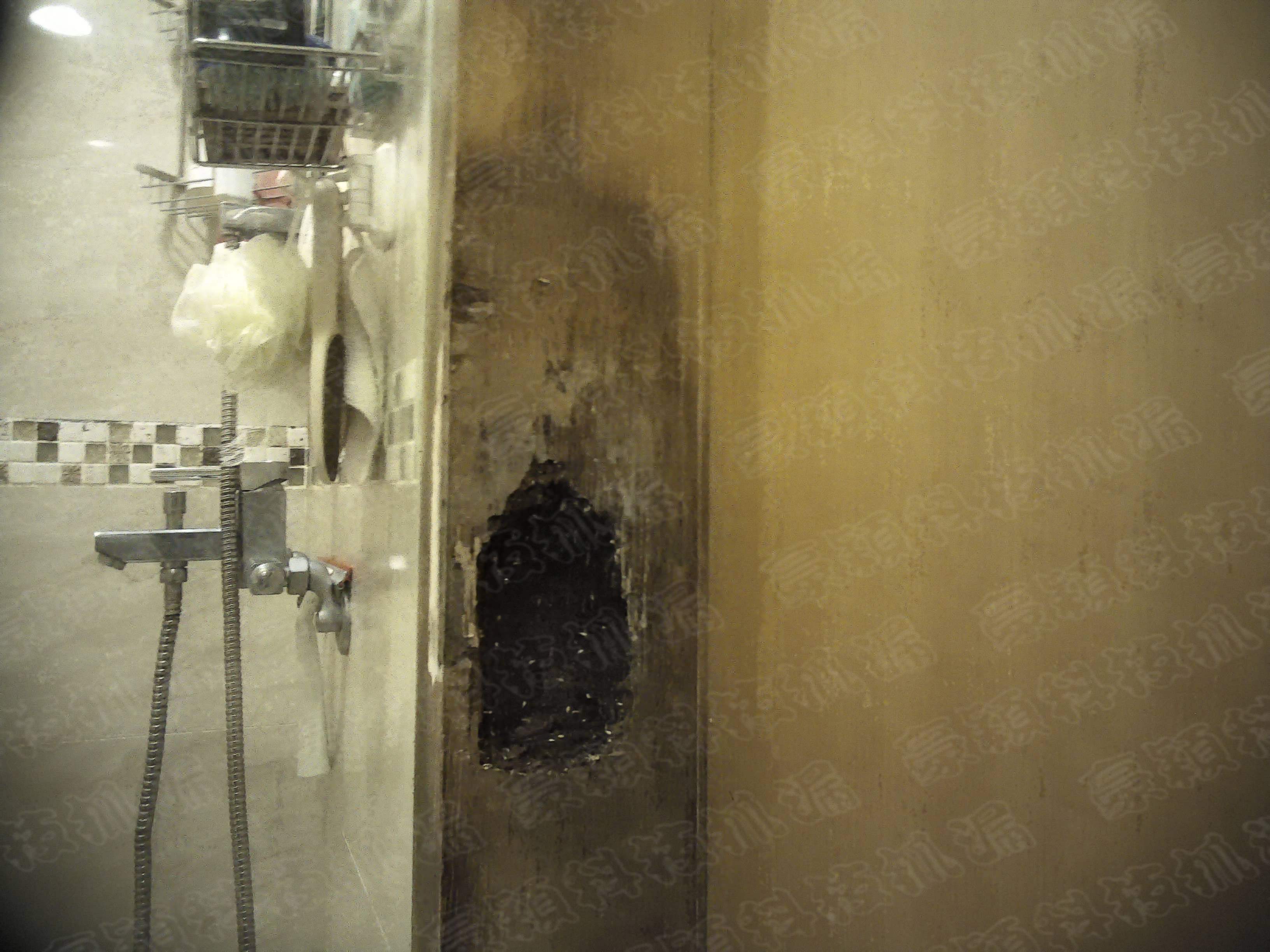 浴室牆壁的漏水損傷情況