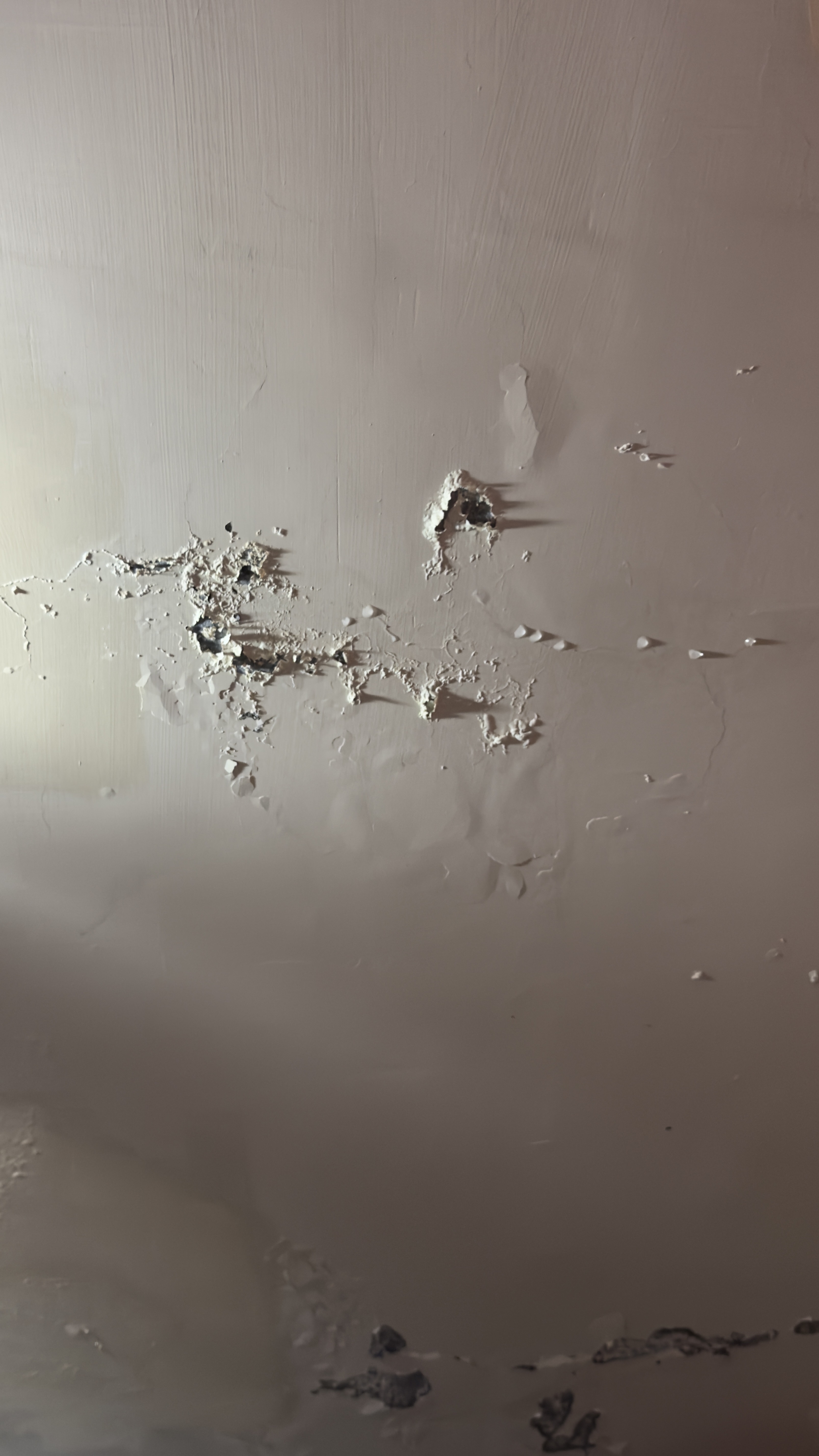 中和區住家天花板漏水