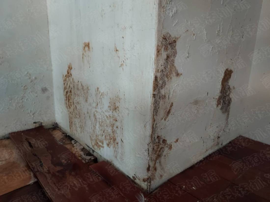 成功爭取漏水保險理賠：專業科學檢測設備提供關鍵證據 - 豪穎抓漏案例實景照片