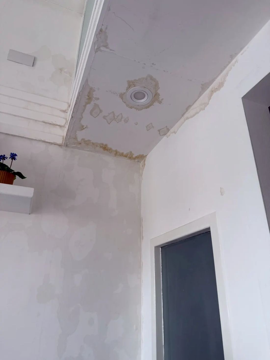 地震漏水自查指南、天花板水痕出現示意圖