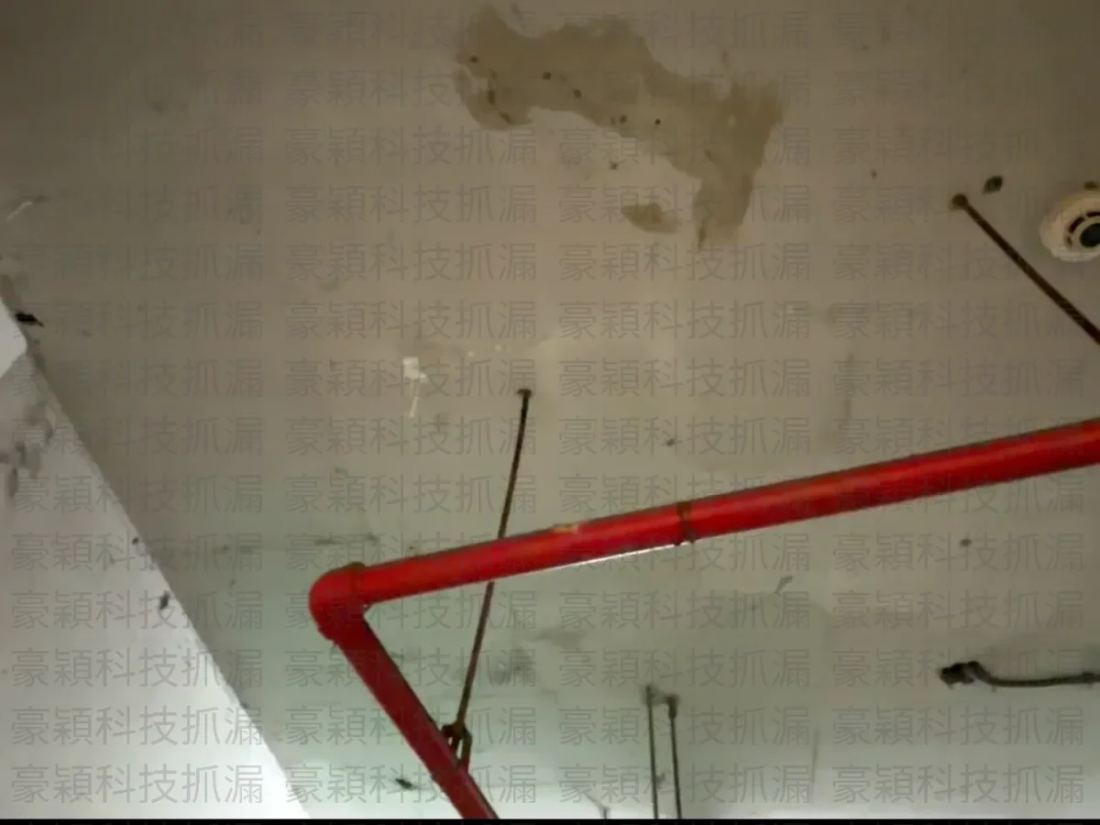 【台北地下室漏水】還在盲目打針？破解 5 大漏水原因與負水壓科技檢測全攻略 | 免打牆紅外線精準定位 - 豪穎抓漏案例實景照片
