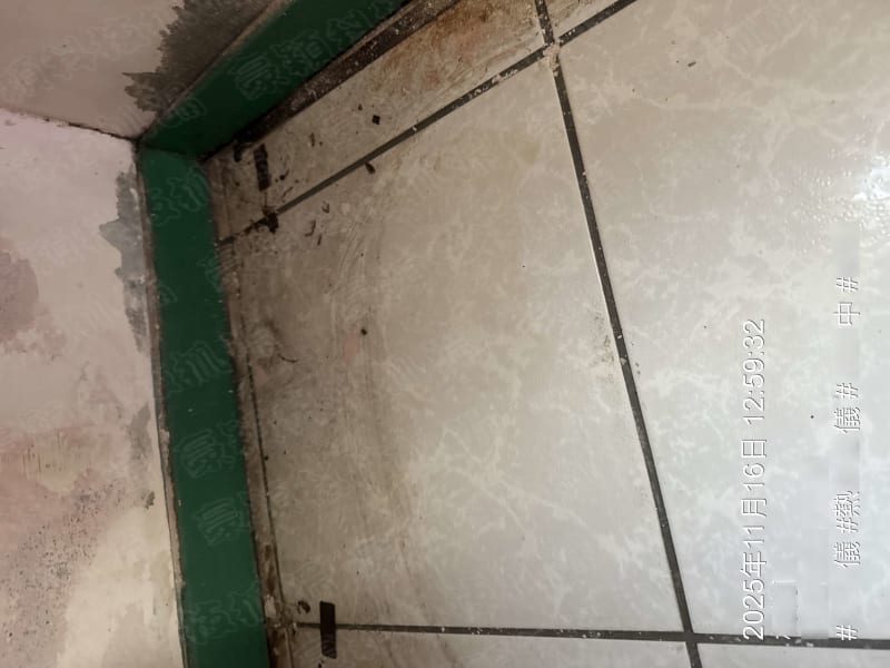 浴室牆角與地板交界處的壁癌問題