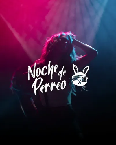 Noche_Redesign_06_4aec21d862.webp