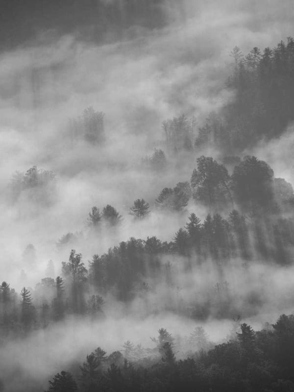 Above the fog