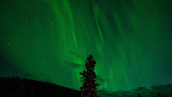 Northern lights