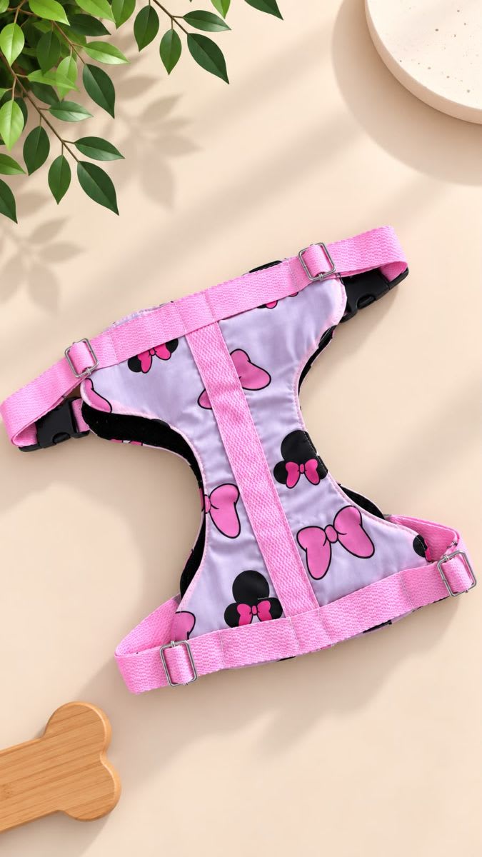 Vista 2 de Pretal Minnie