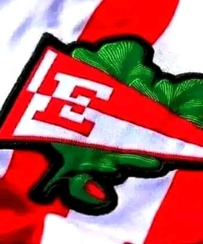 Vane