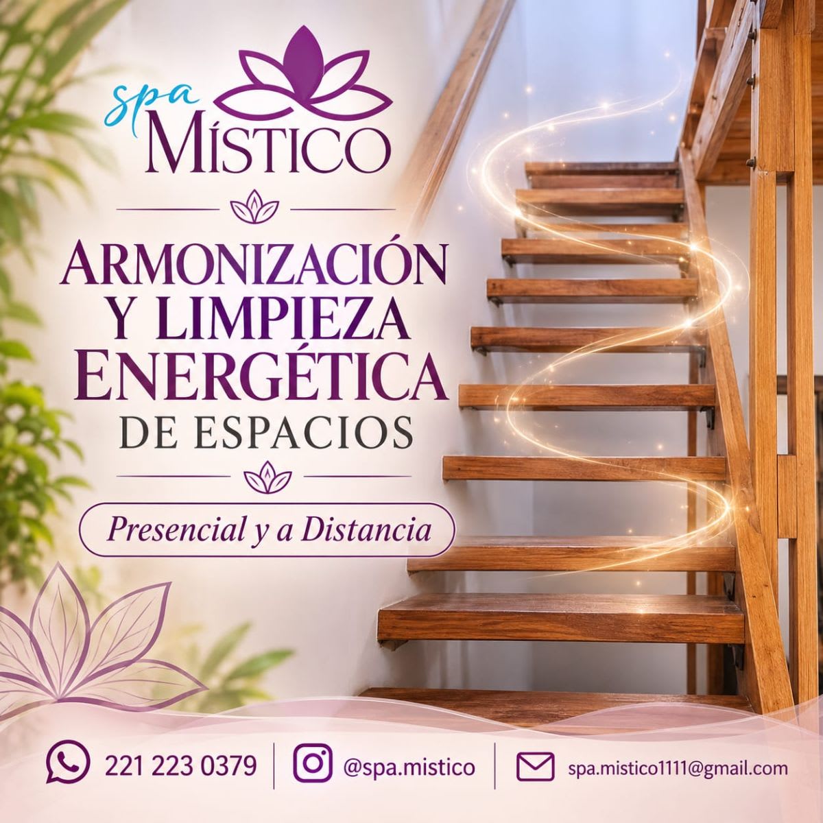 Armonización y limpieza de espacios