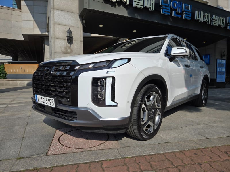 Hyundai Palisade Diesel 2.2 2WD Le Blanc