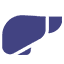 Liver