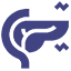 Pancreas