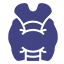 Thyroid