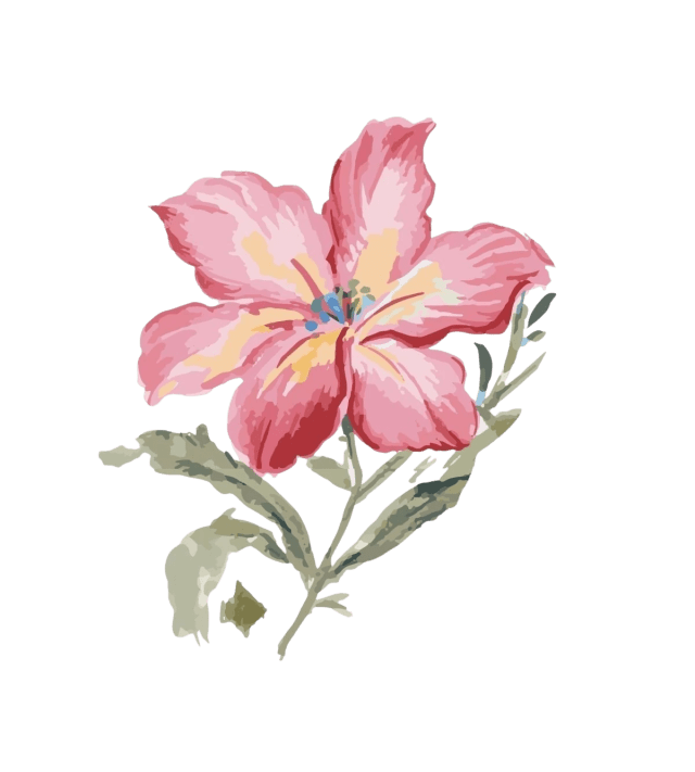 Flores