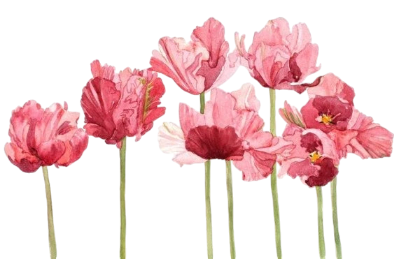 Flores