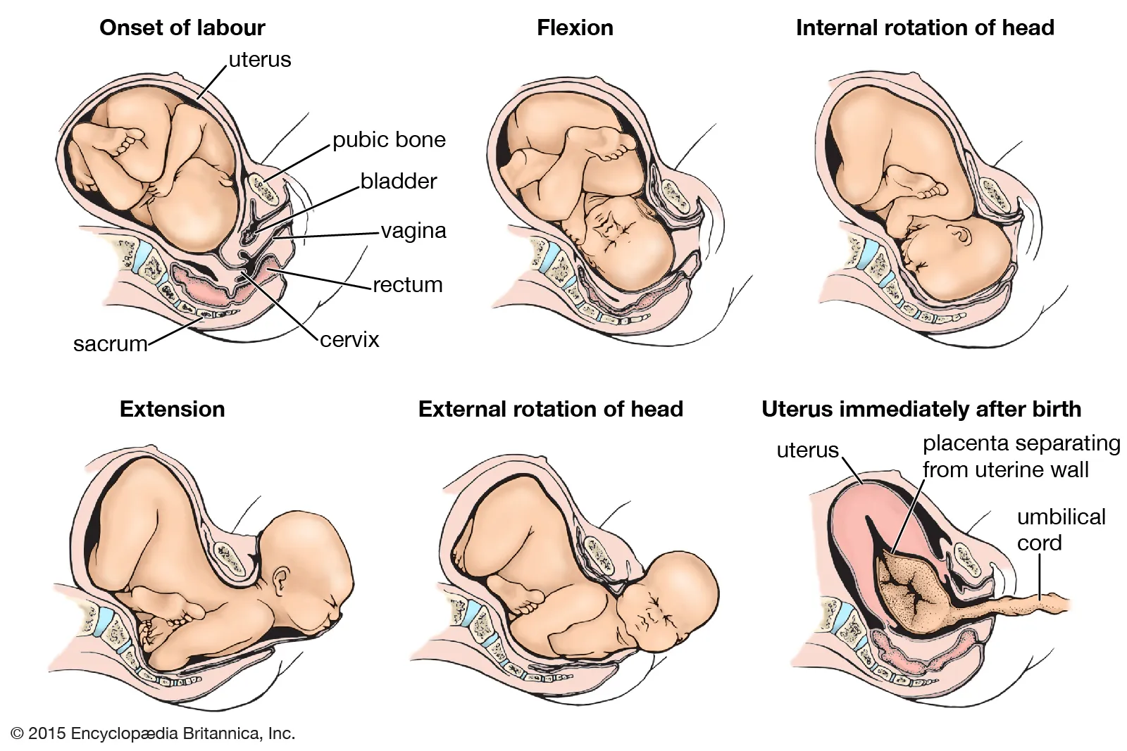 Yoga positions to help with labour and child birth